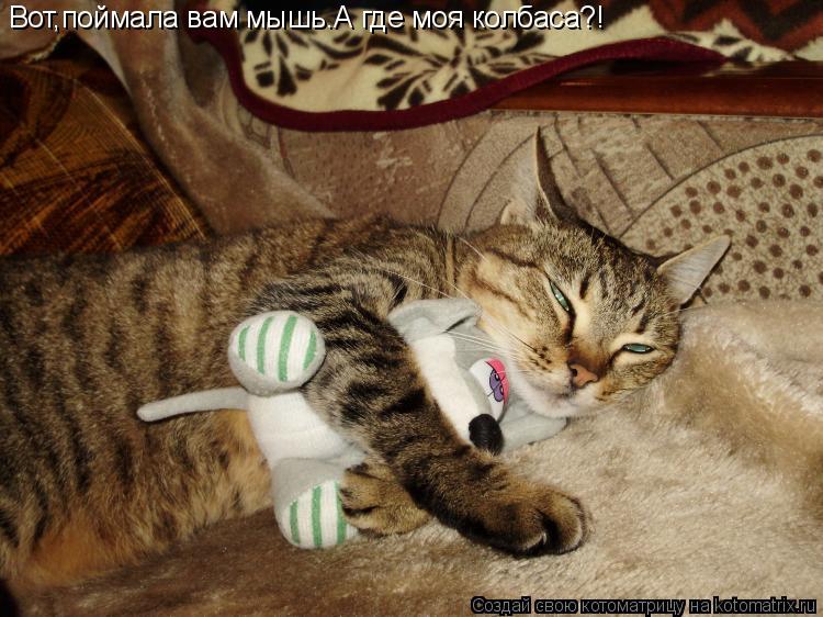 Вот,поймала вам мышь.А где моя колбаса?!... Котоматрица: Вот,поймала вам мышь.А где моя колбаса?!