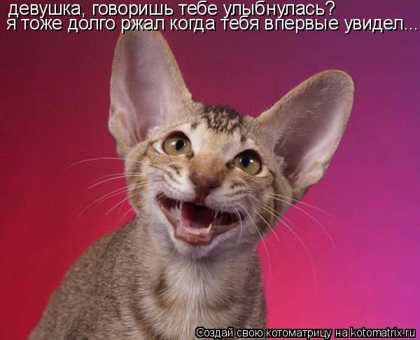 девушка, говоришь тебе улыбнулась? я тоже долго ржал когда тебя впервые увидел...... Котоматрица: девушка, говоришь тебе улыбнулась? я тоже долго ржал когда тебя впервые увидел...