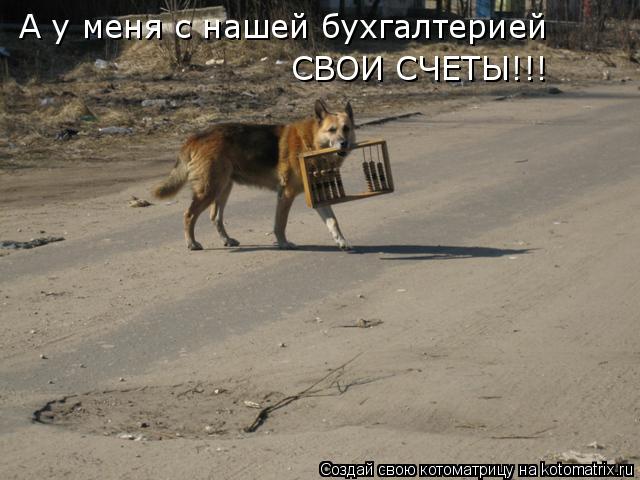 А у меня с нашей бухгалтерией СВОИ СЧЕТЫ!!!... Котоматрица: А у меня с нашей бухгалтерией СВОИ СЧЕТЫ!!!