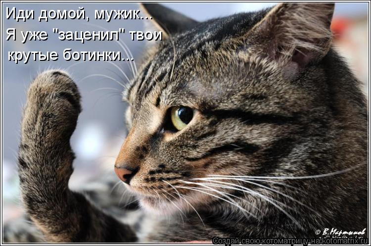Котоматрица: крутые ботинки... Иди домой, мужик... Я уже "заценил" твои