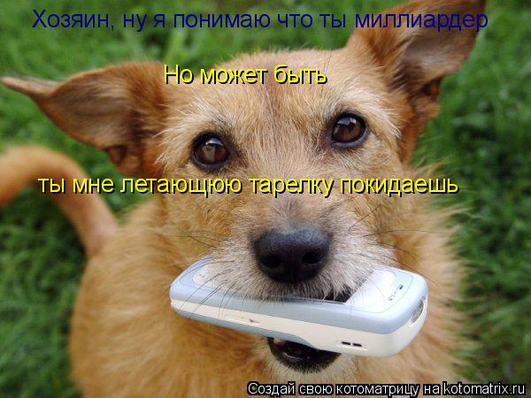 Котоматрица: Хозяин, ну я понимаю что ты миллиардер Но может быть  ты мне летающюю тарелку покидаешь