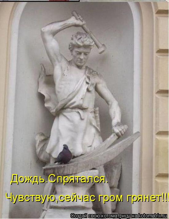 Котоматрица: Дождь.Спрятался. Чувствую,сейчас гром грянет!!!
