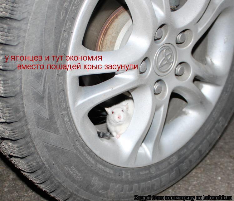 Котоматрица: у японцев и тут экономия вместо лошадей крыс засунули