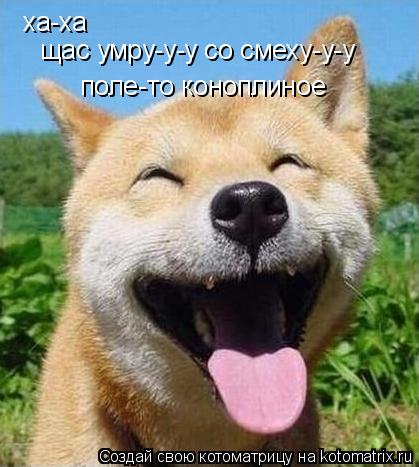 Котоматрица: ха-ха щас умру-у-у со смеху-у-у поле-то коноплиное
