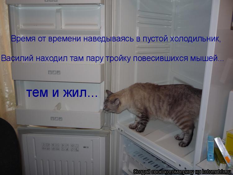 Котоматрица: Время от времени наведываясь в пустой холодильник, Василий находил там пару тройку повесившихся мышей... тем и жил...