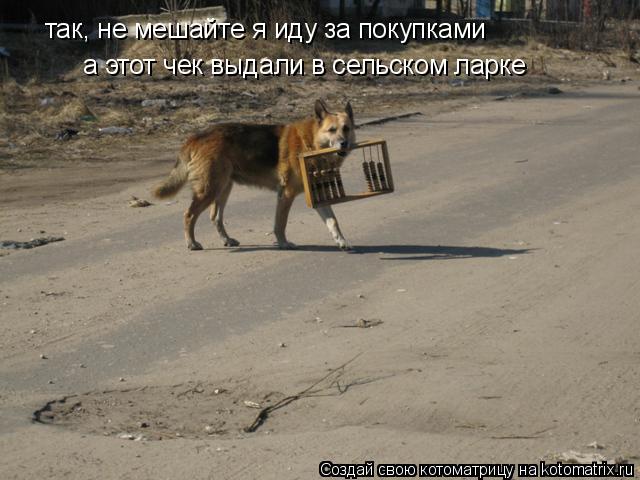 так, не мешайте я иду за покупками а этот чек выдали в сельском ларке... Котоматрица: так, не мешайте я иду за покупками а этот чек выдали в сельском ларке
