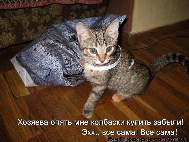 Хозяева опять мне колбаски купить забыли! Эхх.. все сама! Все сама!... Котоматрица: Хозяева опять мне колбаски купить забыли! Эхх.. все сама! Все сама!