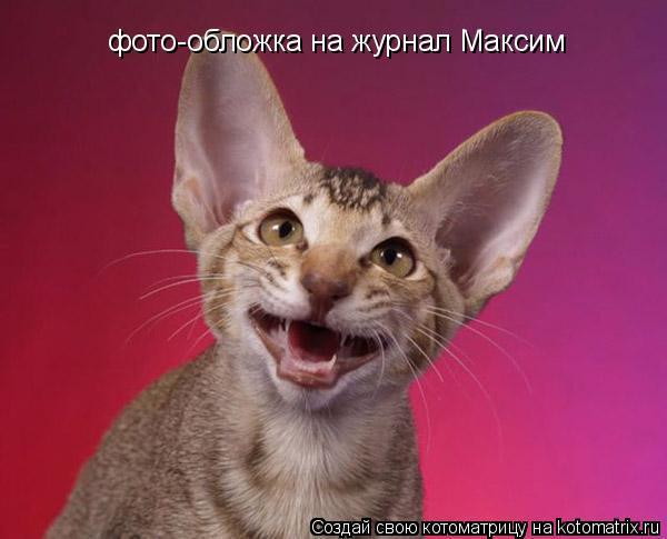 фото-обложка на журнал Максим... Котоматрица: фото-обложка на журнал Максим