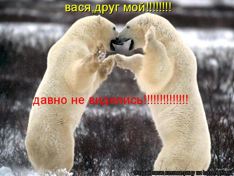 вася,друг мой!!!!!!!! давно не виделись!!!!!!!!!!!!!!... Котоматрица: вася,друг мой!!!!!!!! давно не виделись!!!!!!!!!!!!!!