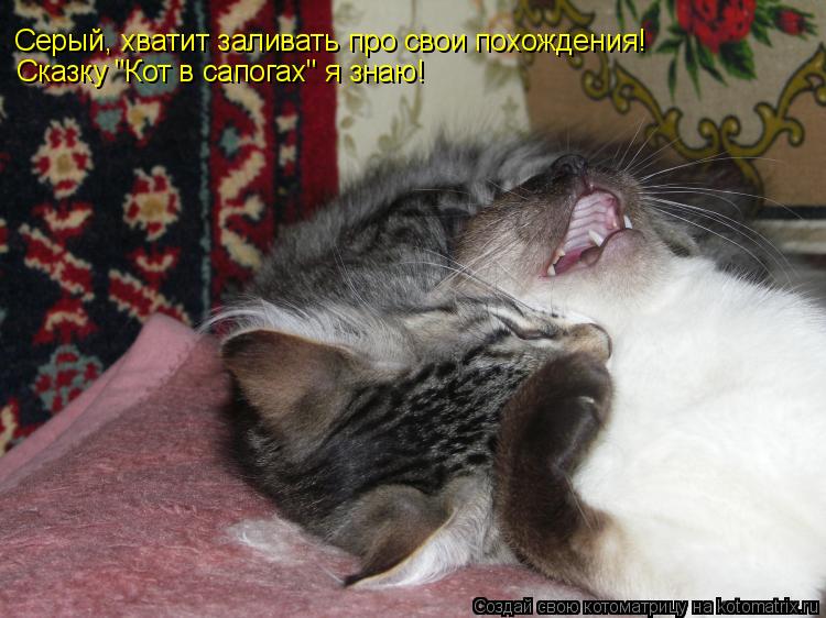 Серый, хватит заливать про свои похождения! Сказку "Кот в сапогах" я знаю!... Котоматрица: Серый, хватит заливать про свои похождения! Сказку "Кот в сапогах" я знаю!