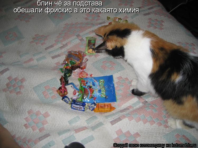 обешали фрискис а это какаято химия блин чё за подстава... Котоматрица: обешали фрискис а это какаято химия блин чё за подстава