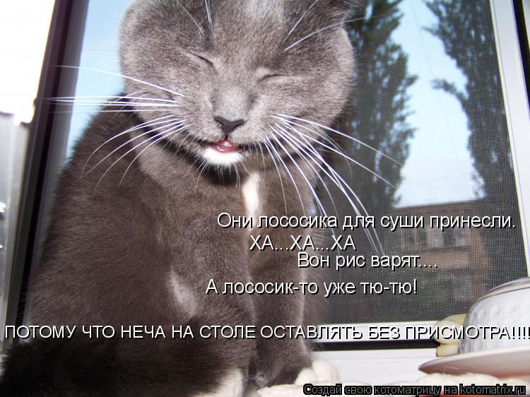 Котоматрица: Они лососика для суши принесли.  ХА...ХА...ХА Вон рис варят.... А лососик-то уже тю-тю! ПОТОМУ ЧТО НЕЧА НА СТОЛЕ ОСТАВЛЯТЬ БЕЗ ПРИСМОТРА!!!!!!