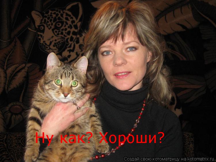Котоматрица: Ну как? Хороши?
