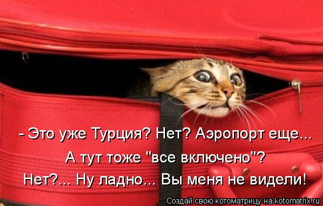 - Это уже Турция? Нет? Аэропорт еще... А тут тоже "все включено"? Нет?... Ну ладно... Вы меня не ви... Котоматрица: - Это уже Турция? Нет? Аэропорт еще... А тут тоже "все включено"? Нет?... Ну ладно... Вы меня не видели!