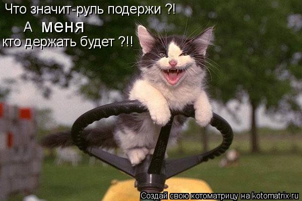 Что значит-руль подержи ?! А меня кто держать будет ?!!... Котоматрица: Что значит-руль подержи ?! А меня кто держать будет ?!!