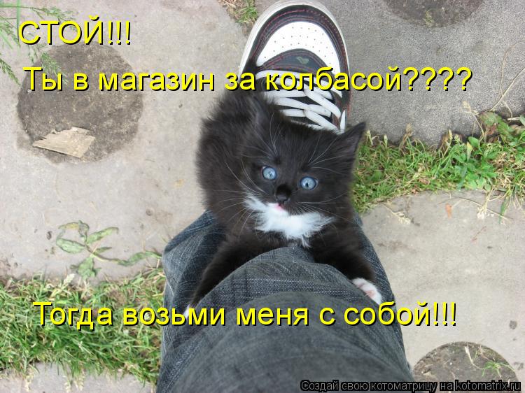 Котоматрица: СТОЙ!!! Ты в магазин за колбасой???? Тогда возьми меня с собой!!!
