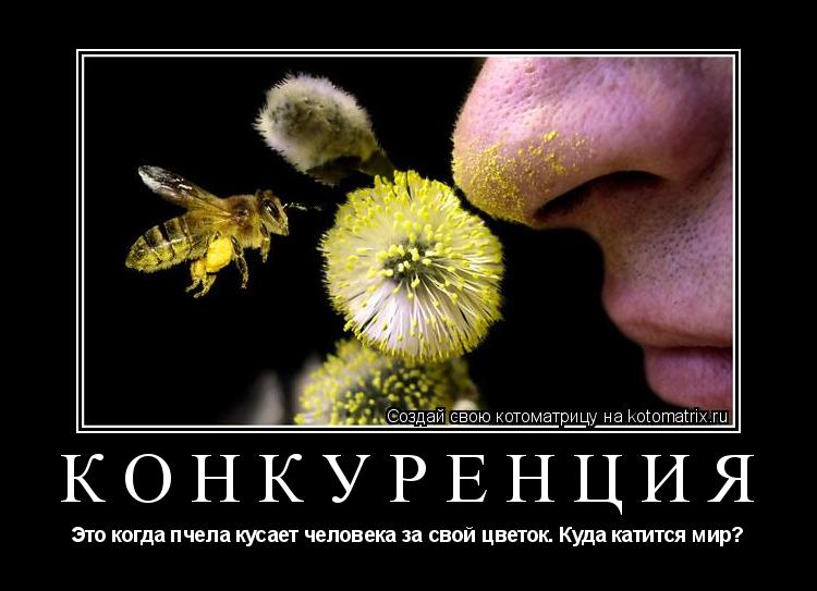 Конкуренция Это когда пчела кусает человека за свой цветок. Куда катится мир?... Котоматрица: Конкуренция Это когда пчела кусает человека за свой цветок. Куда катится мир?