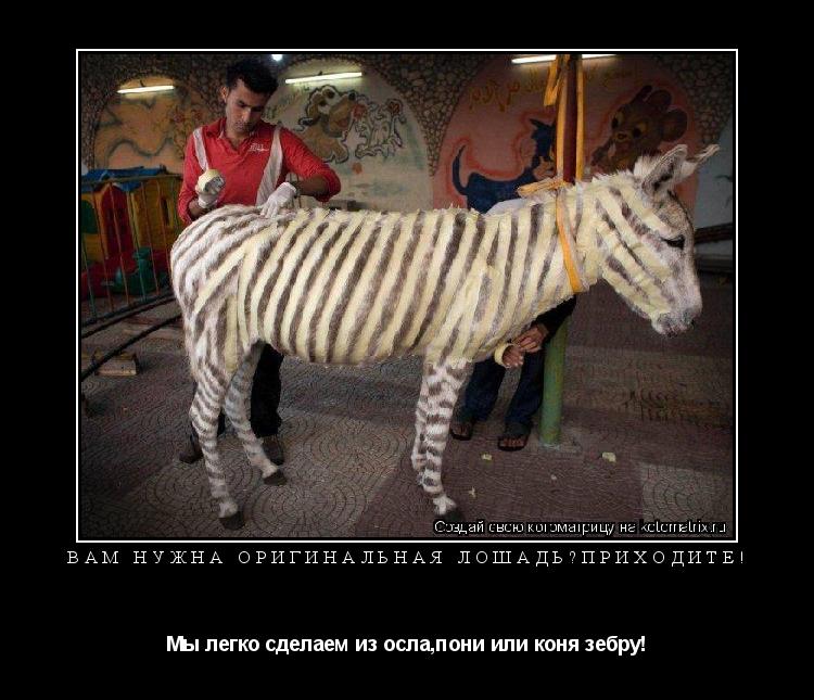 Котоматрица: Вам нужна оригинальная лошадь?Приходите! Мы легко сделаем из осла,пони или коня зебру!