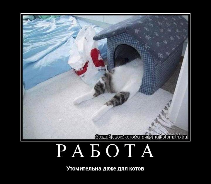 Котоматрица: Работа Утомительна даже для котов