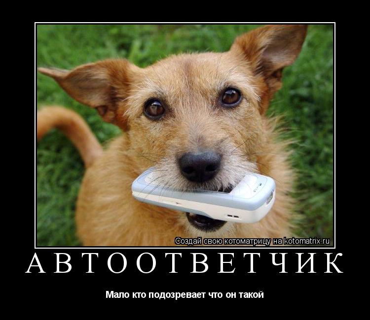 Автоответчик Мало кто подозревает что он такой... Котоматрица: Автоответчик Мало кто подозревает что он такой