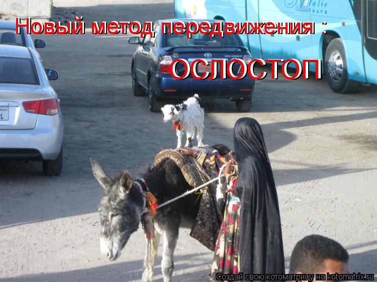 Котоматрица: Новый метод передвижения : ОСЛОСТОП  ОСЛОСТОП  Новый метод передвижения :