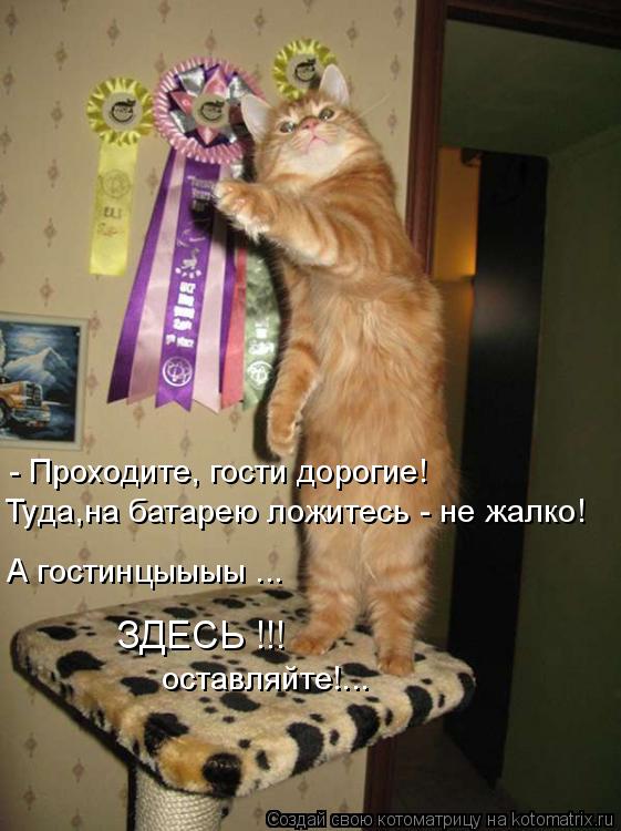 Туда,на батарею ложитесь - не жалко! - Проходите, гости дорогие! А гостинцыыыы ... ЗДЕСЬ !!! оставля... Котоматрица: Туда,на батарею ложитесь - не жалко! - Проходите, гости дорогие! А гостинцыыыы ... ЗДЕСЬ !!! оставляйте!...