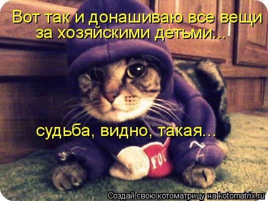Котоматрица: Вот так и донашиваю все вещи за хозяйскими детьми... судьба, видно, такая...