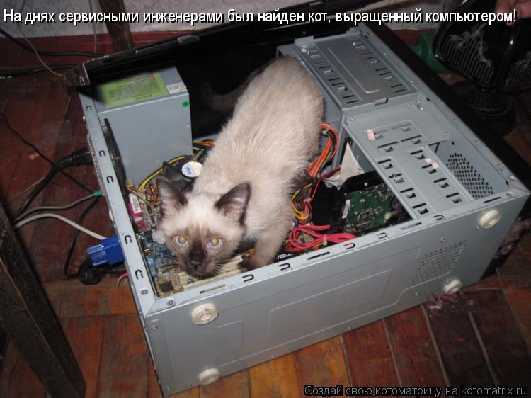 Котоматрица: На днях сервисными инженерами был найден кот, выращенный компьютером!