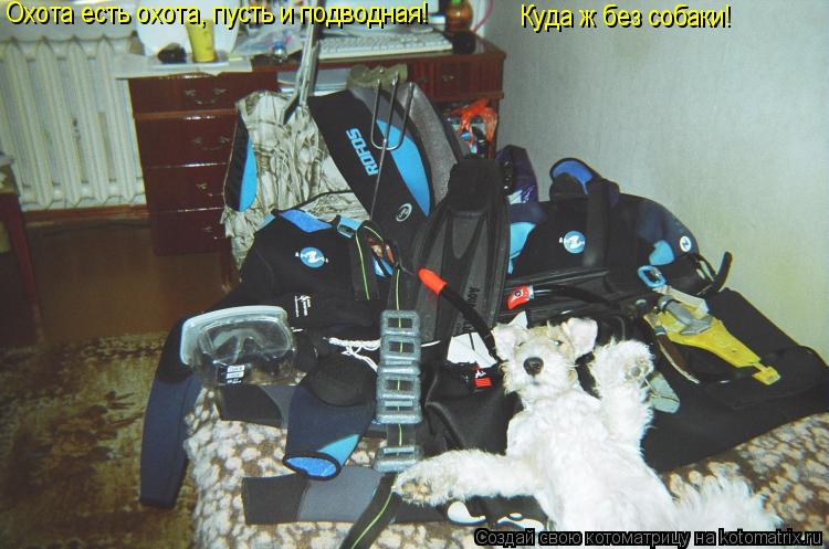 Котоматрица: Охота есть охота, пусть и подводная! Куда ж без собаки!