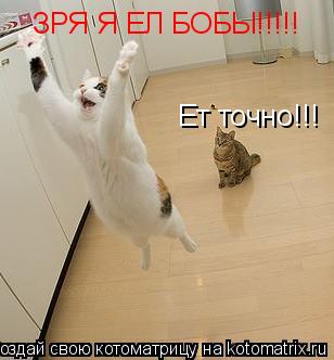 Котоматрица: ЗРЯ Я ЕЛ БОБЫ!!!!! Ет точно!!!