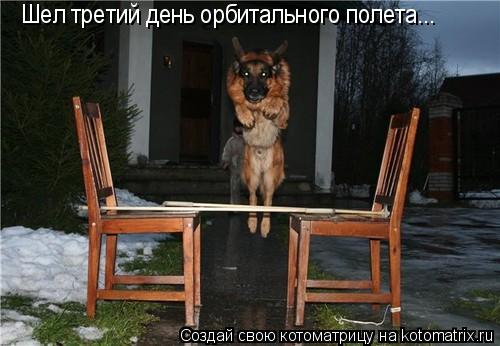 Котоматрица: Шел третий день орбитального полета...