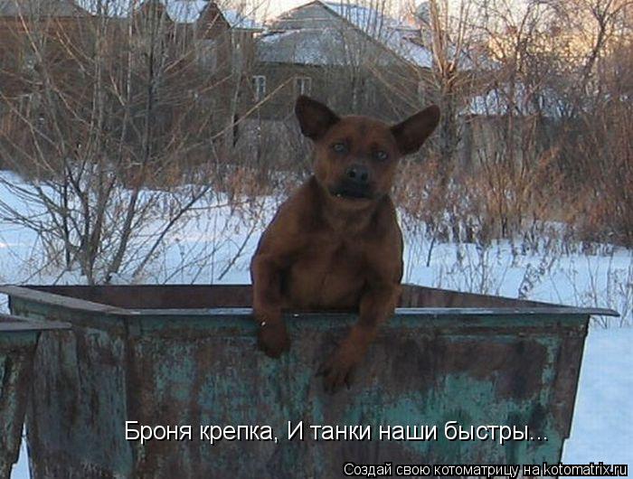 Котоматрица: Броня крепка, И танки наши быстры...