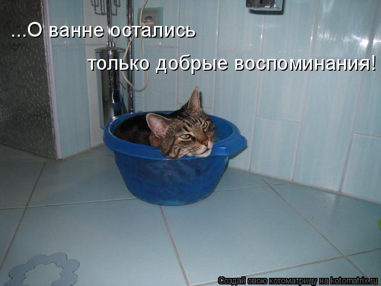 Котоматрица: ...О ванне остались  только добрые воспоминания!