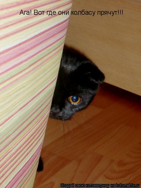 Котоматрица: Ага! Вот где они колбасу прячут!!!