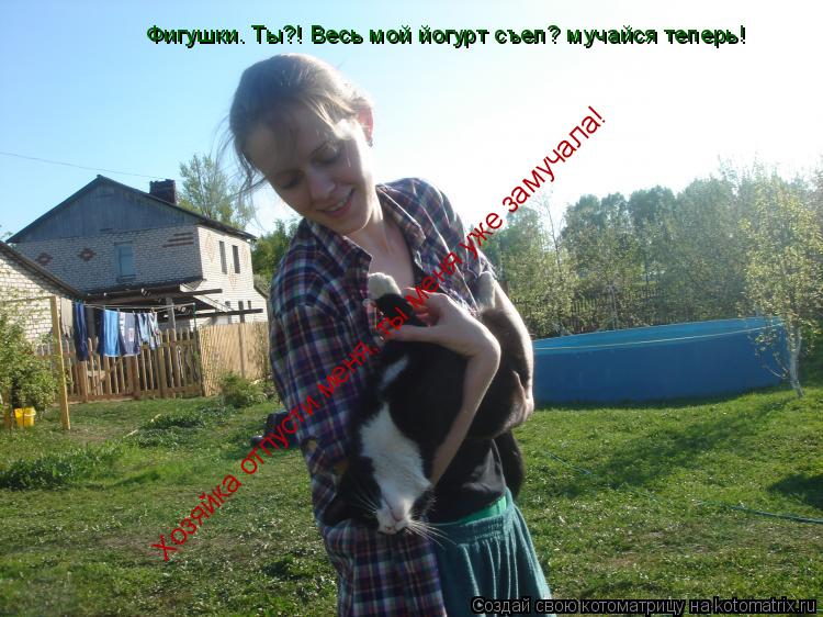 Котоматрица: Хозяйка отпусти меня, ты меня уже замучала! Фигушки. Ты?! Весь мой йогурт съел? мучайся теперь!
