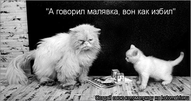 Котоматрица: "А говорил малявка, вон как избил"