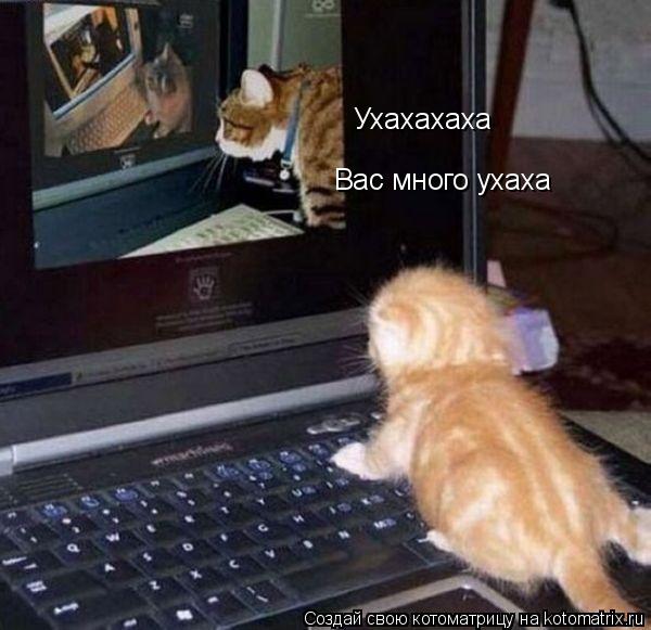 Котоматрица: Ухахахаха Вас много ухаха