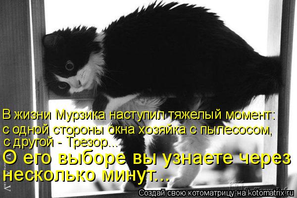 В жизни Мурзика наступил тяжелый момент: с одной стороны окна хозяйка с пылесосом, с другой - Трез... Котоматрица: В жизни Мурзика наступил тяжелый момент: с одной стороны окна хозяйка с пылесосом, с другой - Трезор... О его выборе вы узнаете через неско