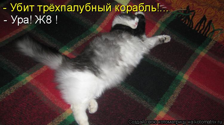 Котоматрица: - Убит трёхпалубный корабль!... - Ура! Ж8 !