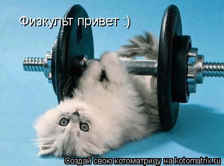 Котоматрица: Физкульт привет :)