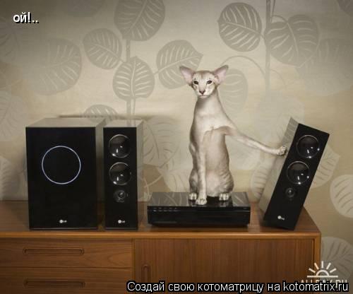 ой!..... Котоматрица: ой!..