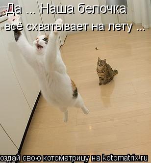 Да ... Наша белочка всё схватывает на лету ...... Котоматрица: Да ... Наша белочка всё схватывает на лету ...