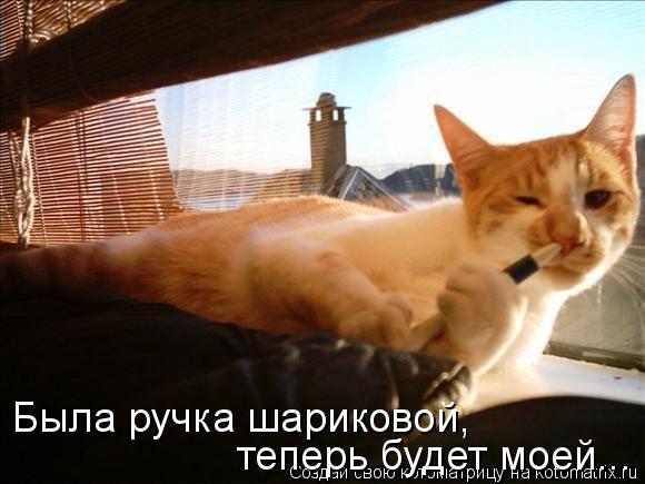 Была ручка шариковой, теперь будет моей...... Котоматрица: Была ручка шариковой, теперь будет моей...
