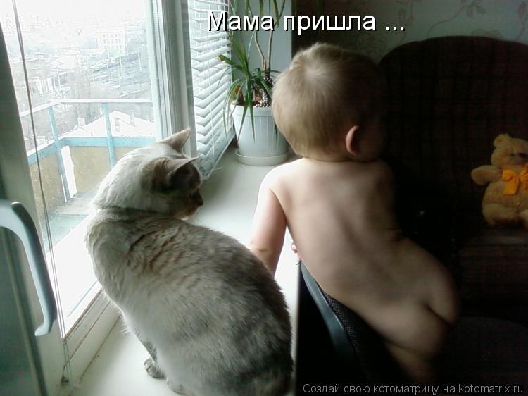 Мама пришла ...... Котоматрица: Мама пришла ...