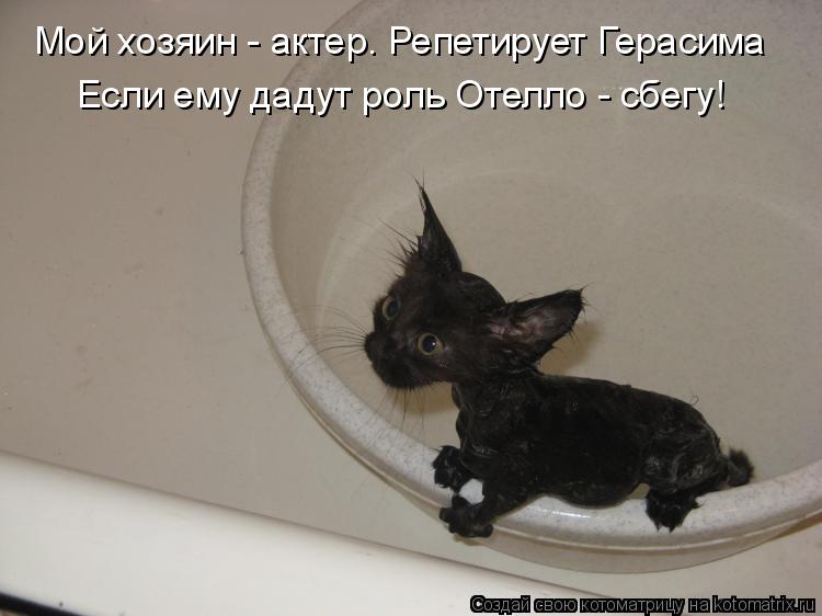 Мой хозяин - актер. Репетирует Герасима Если ему дадут роль Отелло - сбегу!... Котоматрица: Мой хозяин - актер. Репетирует Герасима Если ему дадут роль Отелло - сбегу!