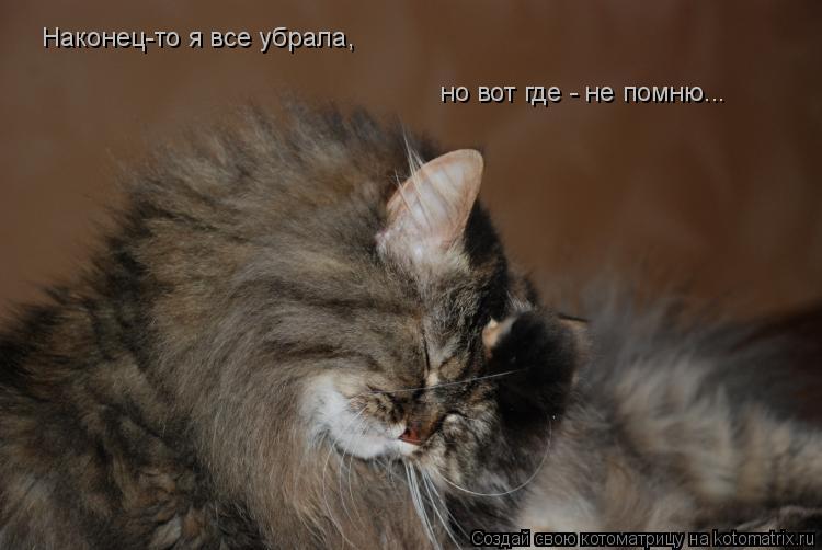 Наконец-то я все убрала, но вот где - не помню...... Котоматрица: Наконец-то я все убрала, но вот где - не помню...