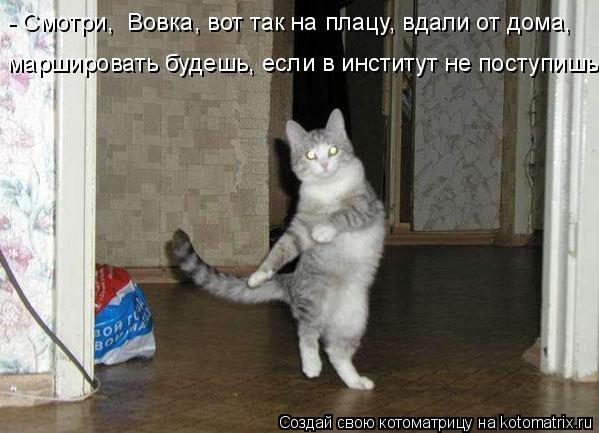 Котоматрица: - Смотри,  Вовка, вот так на плацу, вдали от дома,  маршировать будешь, если в институт не поступишь!