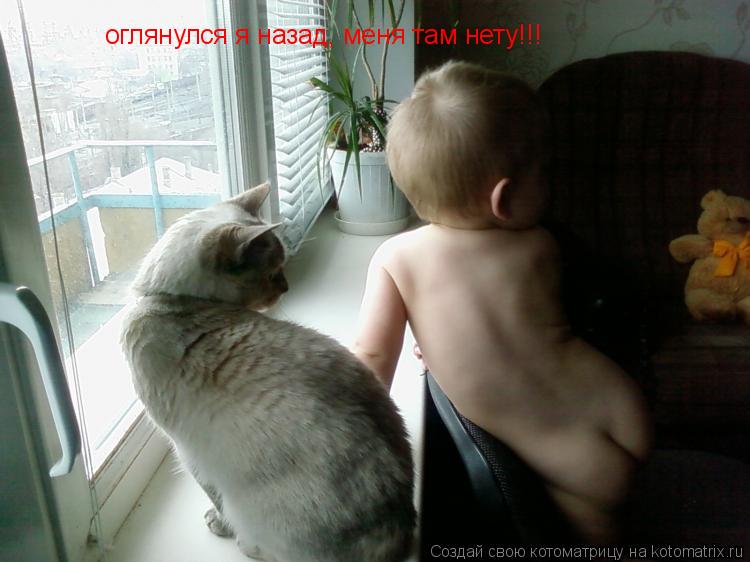 оглянулся я назад, меня там нету!!!... Котоматрица: оглянулся я назад, меня там нету!!!