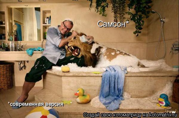 Котоматрица: Самсон* *современная версия