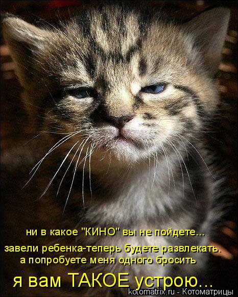 ни в какое "КИНО" вы не пойдете... а попробуете меня одного бросить я вам ТАКОЕ устрою... завели реб... Котоматрица: ни в какое "КИНО" вы не пойдете... а попробуете меня одного бросить я вам ТАКОЕ устрою... завели ребенка-теперь будете развлекать.